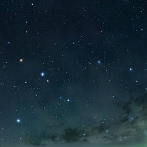 Meet your Posher, Charlsy